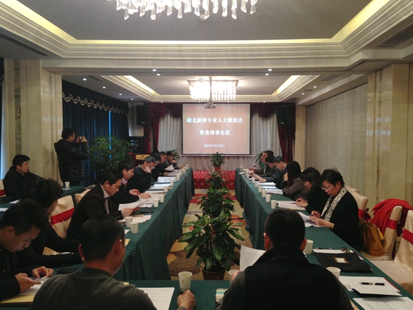 陳義紅博士出席湖北新僑會一屆二次常務(wù)理事會議